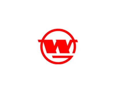 Wuhan Iron and Steel Group