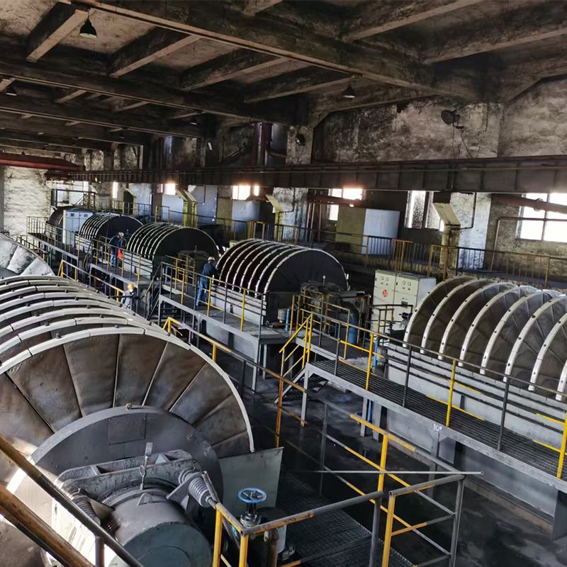 GPT Series Vacuum disc filter (Special for Dewatering of Concentrate and Tailings)